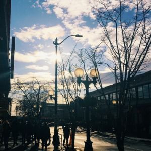 Meet your Posher, Barbara